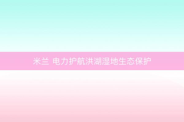 米兰 电力护航洪湖湿地生态保护