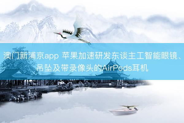澳门新浦京app 苹果加速研发东谈主工智能眼镜、吊坠及带录像头的AirPods耳机