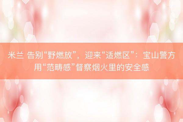 米兰 告别“野燃放”，迎来“适燃区”：宝山警方用“范畴感”督察烟火里的安全感